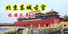 被鸡插中国北京-东城古宫旅游风景区